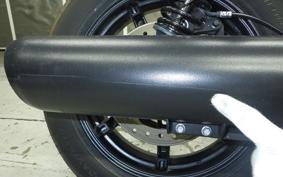 HARLEY RH975 2022