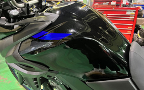 SUZUKI DL650 ( V-Strom 650 ) 2022 C733M