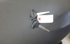 YAMAHA CYGNUS 125 X 2 SE44J