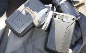 SUZUKI SKYWAVE 250 (Burgman 250) Gen.3 CJ46A