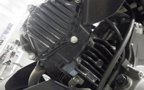 KAWASAKI Z125 PRO 2021 BR125H