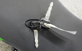 KAWASAKI Z125 PRO BR125H