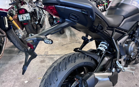 TRIUMPH TIGER SPORT 800 2026 L25P18