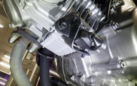 HONDA MONKEY 125 ABS JB02
