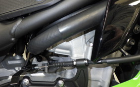 KAWASAKI ZX-4RR 2024 ZX400P