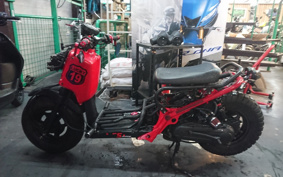 HONDA ZUMAR AF58