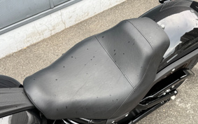 HARLEY  HARLEY FXLRS 2019 YWK