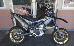 YAMAHA WR250X DG15J