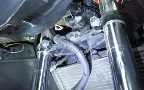 HONDA CBR250R GEN 3 MC41