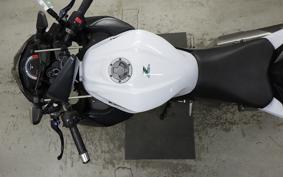 KAWASAKI Z250 2022 ER250C