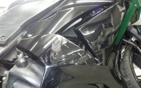 KAWASAKI NINJA 250R 2008 EX250K