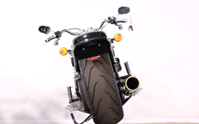 HARLEY FLFBS 2018 YGK
