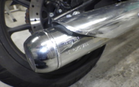 OTHER +ENFIELD ﾒﾃｵ350 2024