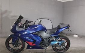 KAWASAKI NINJA250R EX250K