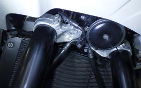 YAMAHA FZ1 FAZER 2013 RN21J