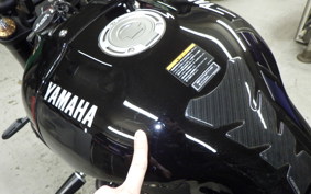 YAMAHA XSR900 2024 RN80J