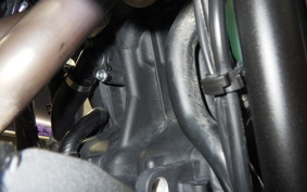YAMAHA TENERE 700 2024