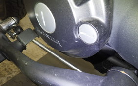 HONDA REBEL 250 2018 MC49