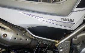 YAMAHA WR250X DG15J