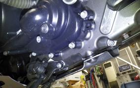 HARLEY PAN AMERICA 1250 S 2025