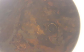 HARLEY FLSTC 1450 2002