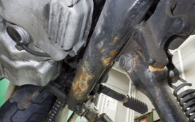 YAMAHA FZX750 2009 3XF