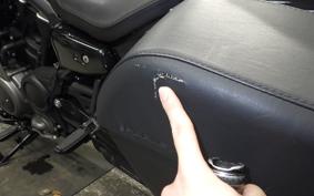 HARLEY RH975 2022