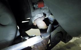 YAMAHA MAJESTY 125 FI