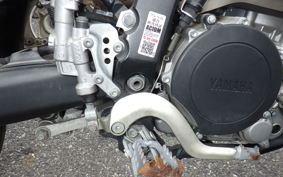 YAMAHA WR250X DG15J