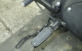 HARLEY XL883N 2009