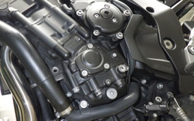 YAMAHA FZ1 FAZER 2009 RN21J