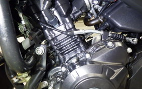 SUZUKI V-STROM 250