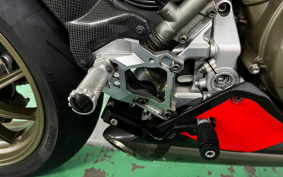 DUCATI 1199 SUPER REJJE-RA 2015 ZDMH808JAEB