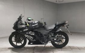 KAWASAKI NINJA250R EX250K