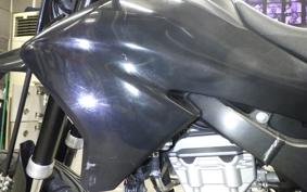 YAMAHA WR250X 2021 DG15J
