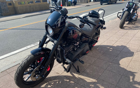 HARLEY FXLRS 2024 YWZ