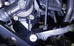 HONDA CBR400R 2022 NC56