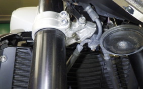 YAMAHA FZ1 FAZER 2009