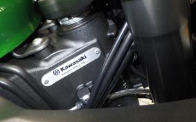 KAWASAKI NINJA 1100SX SE 2025 ZXT10H