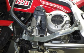 HONDA CT125 HUNTER CUB 2020 JA55