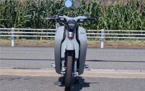 HONDA  SUPER CUB C125 JA71