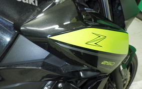 KAWASAKI Z250 Gen.2 1999 EX250P