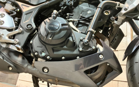 YAMAHA MT-25 RG10J