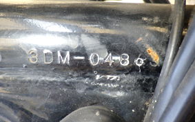 YAMAHA VIRAGO 250 3DM