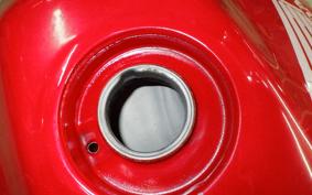 HONDA HORNET 250 2024 MC31