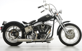 HARLEY Kit Bike 1999 W2E