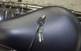 OTHER +UNREGISTERED MODEL by BDS1200 2011