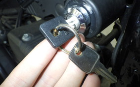 HARLEY XL1200NS 2019