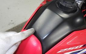 HONDA CRF250L 2019 MD47