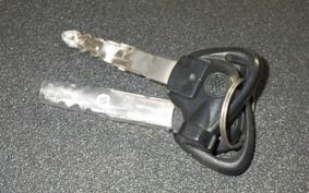 YAMAHA MAJESTY155 S SG28J